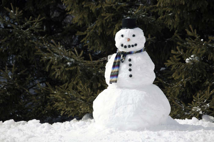 muneco de nieve