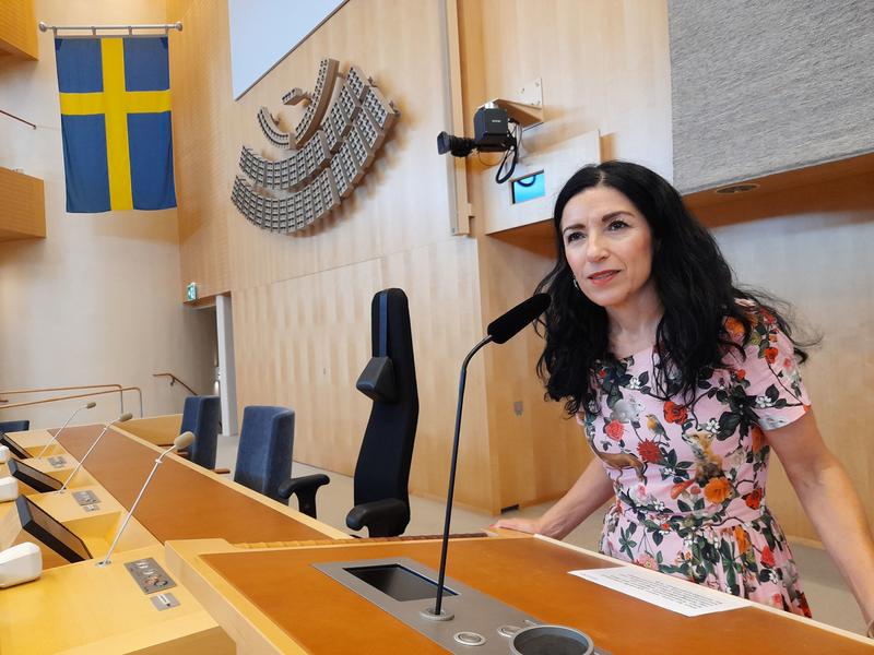Amine Kakavabeh, diputada independiente de origen kurdo iraní Ricard González