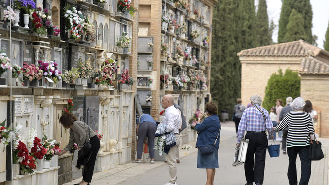 Familiares cuidan los nichos de sus difuntos el día antes de la celebración de Todos los Santos / JESÚS JIMÉNEZ / PHOTOGRAPHERSSPORTS (Granada)