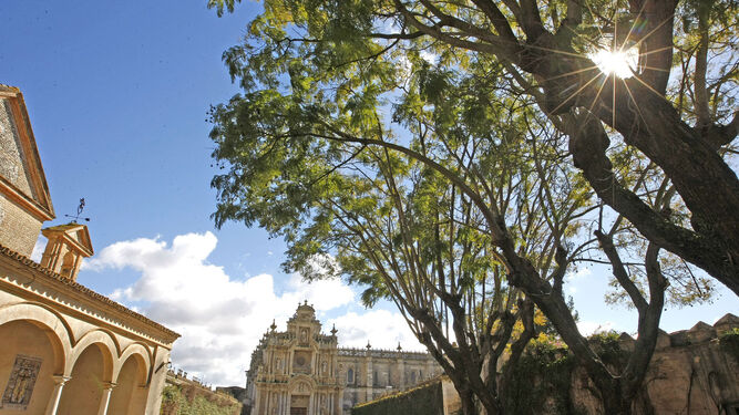 Monasterio de La Cartuja de Jerez