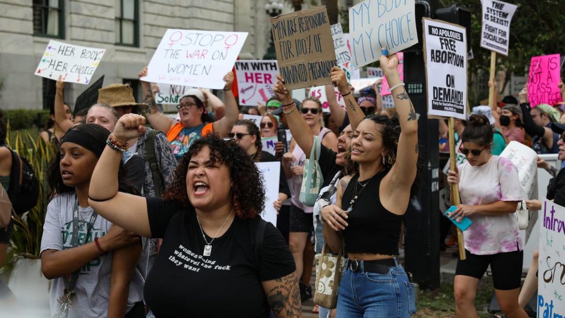 Manifestación en contra de la abolición del aborto en EEUU Lauren Witte / Tampa Bay Times via DPA /Europapress