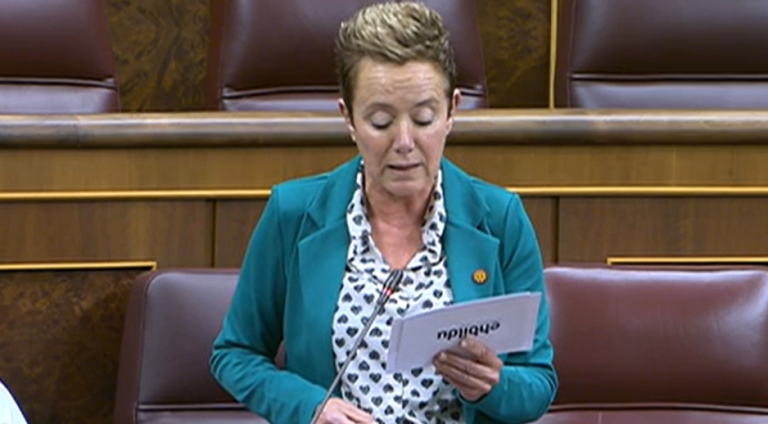 Isabel Pozueta ayer en el Congreso de los Diputados / Fotograma vídeo