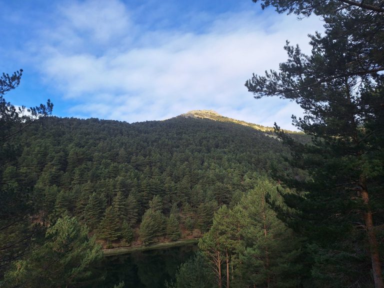Paisaje de Casa de Campo.- Noelia Adánez