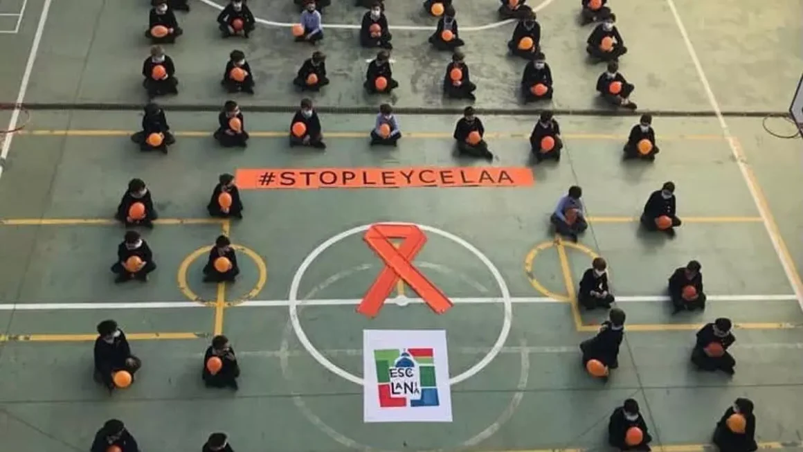 Niños de un centro concertado, en una acción contra la ley Celaá.