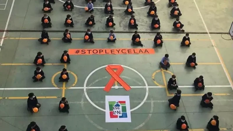 Niños de un centro concertado, en una acción contra la ley Celaá.