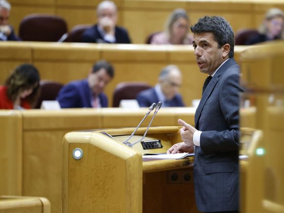 El presidente de la Generalitat Valenciana, Carlos Mazón. (EFE/Mariscal)