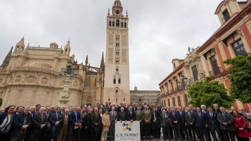 Encuentro extraordinario entre el Ayuntamiento de Sevilla, la Archidiócesis de Sevilla, el Consejo General de Hermandades y Cofradías y la Hermandad del Cachorro y al que han asistido más de 60 hermandades / Ayuntamiento de Sevilla