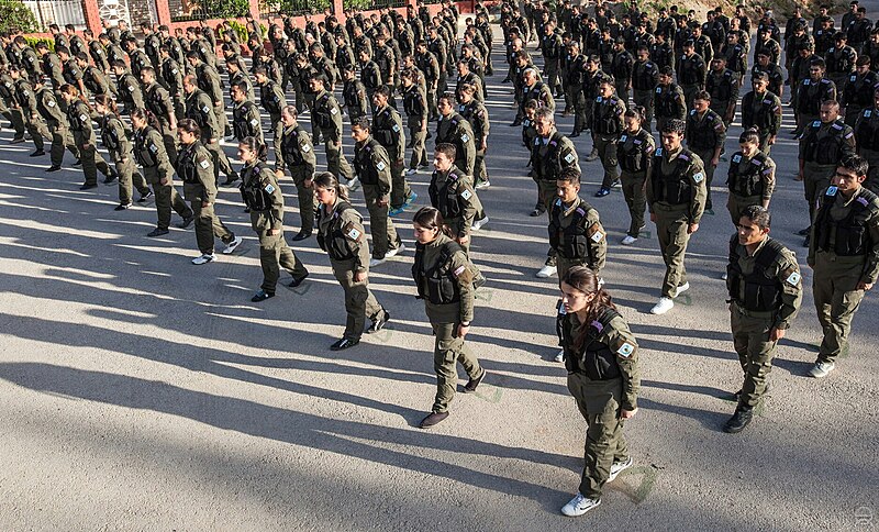 Fuerzas de Seguridad kurdas