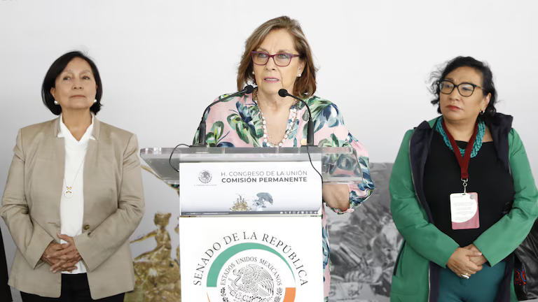 Martha Lucía Micher adelantó que en aproximadamente seis meses se volverá a discutir la iniciativa en el estado. | Morena
