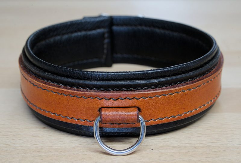 Collar BDSM